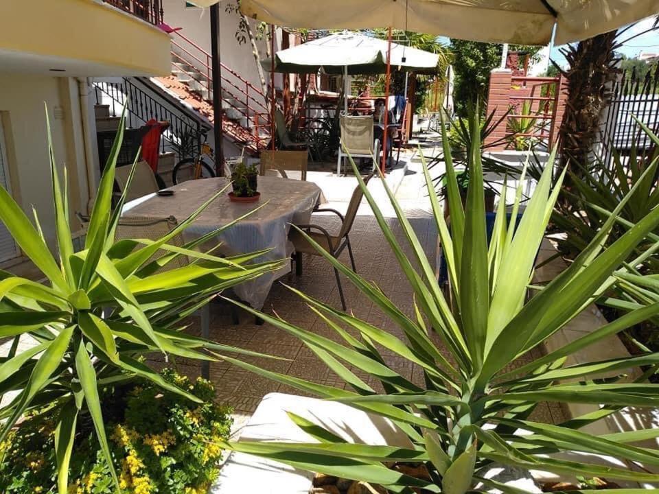 Blue Moon Apartments 尼亚米卡尼奥纳 外观 照片