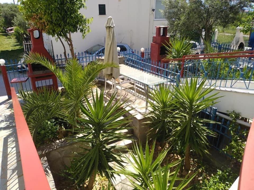 Blue Moon Apartments 尼亚米卡尼奥纳 外观 照片