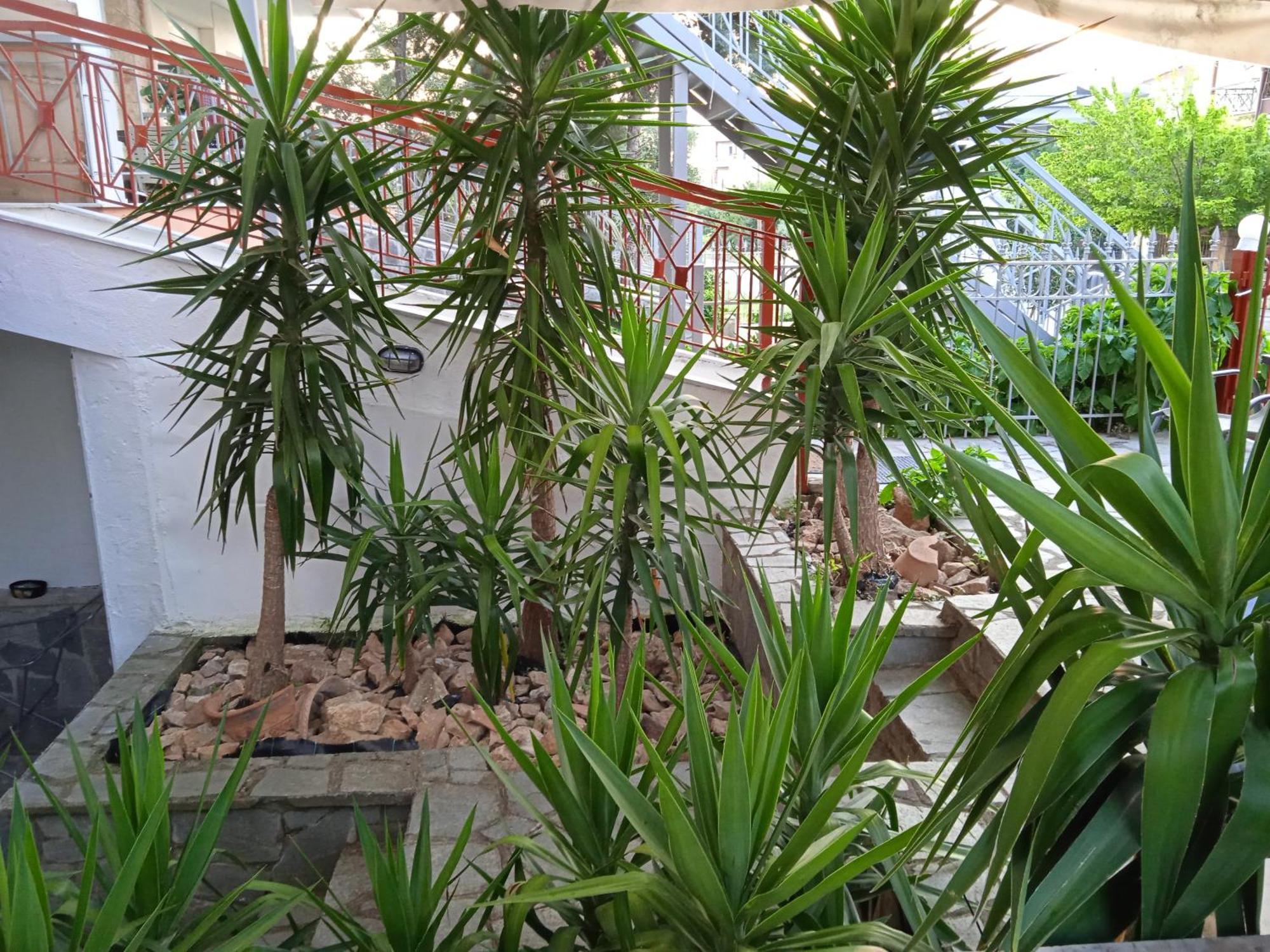 Blue Moon Apartments 尼亚米卡尼奥纳 客房 照片