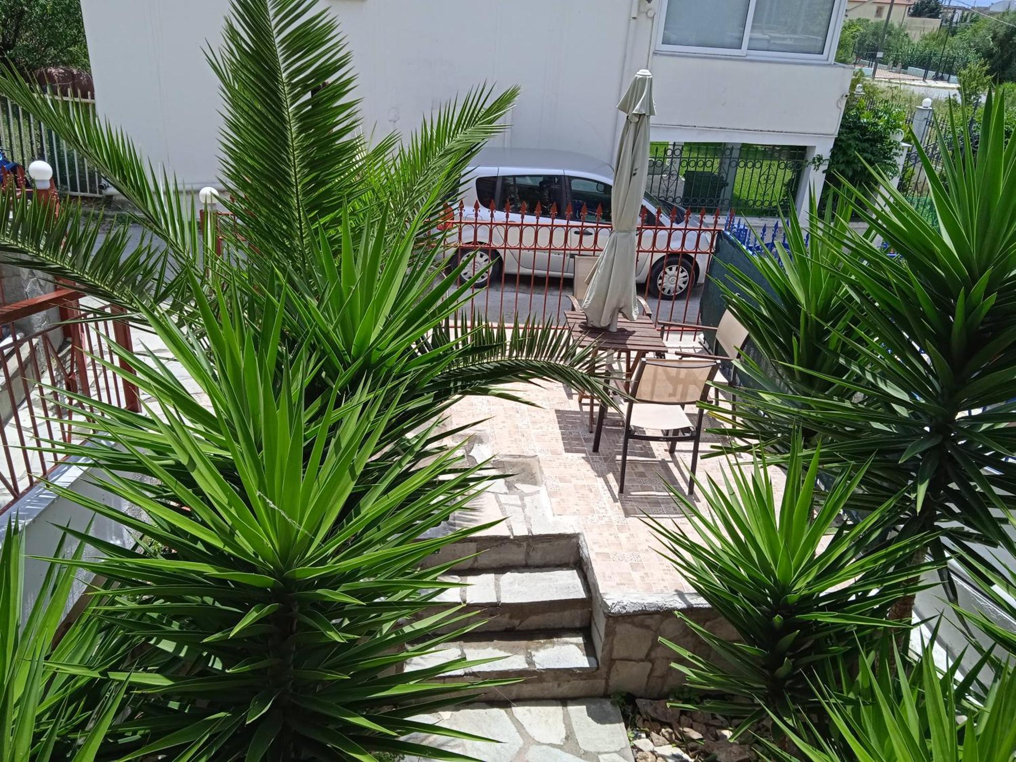 Blue Moon Apartments 尼亚米卡尼奥纳 客房 照片
