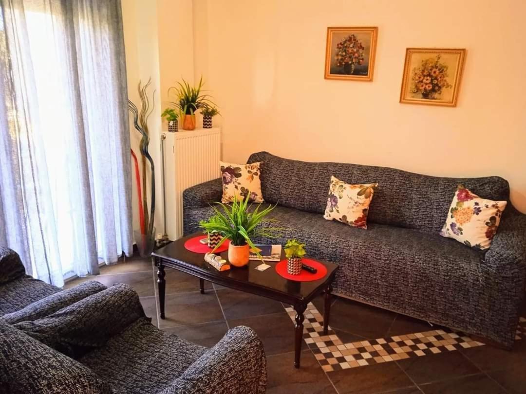 Blue Moon Apartments 尼亚米卡尼奥纳 外观 照片